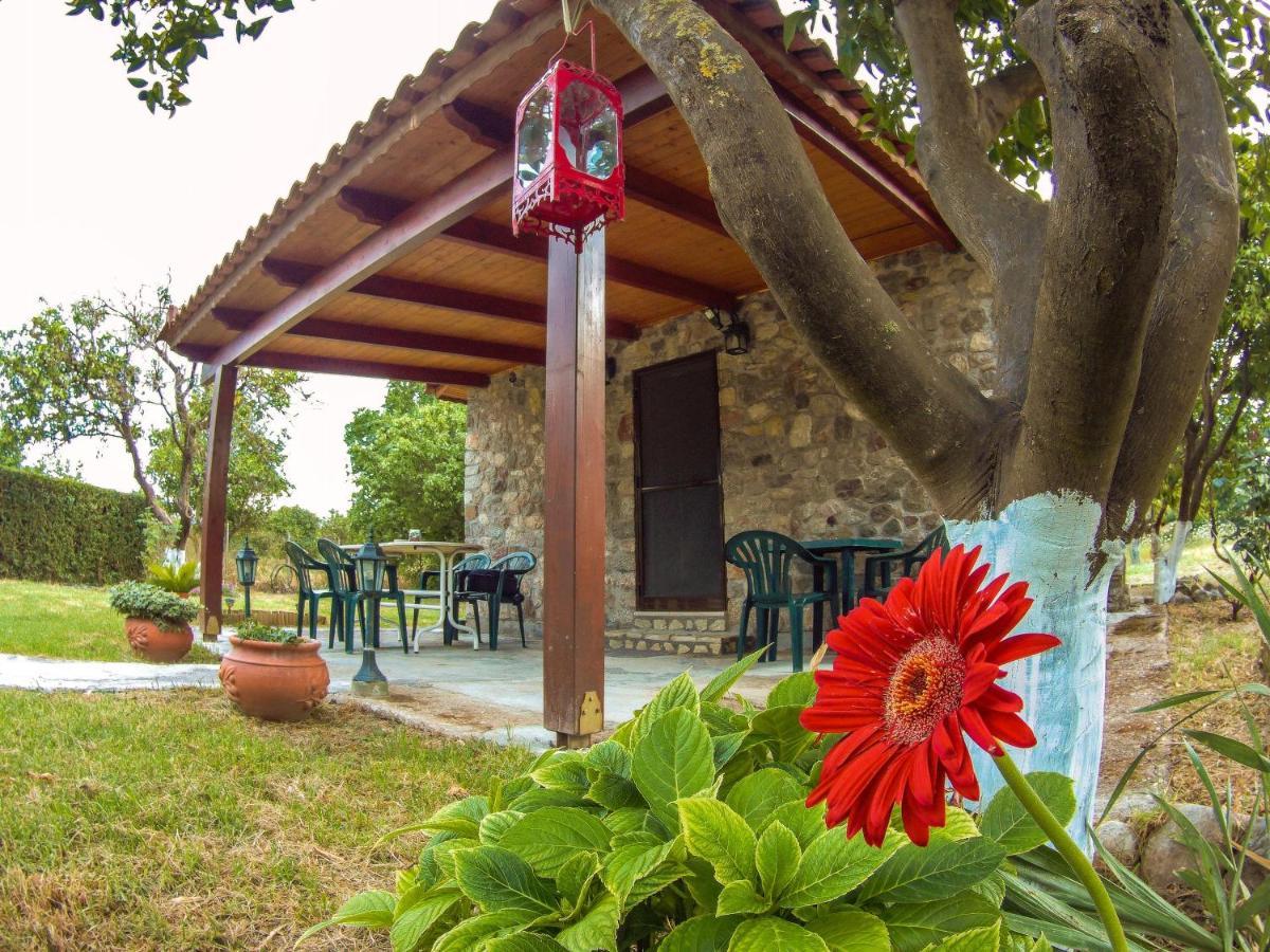 Patras Stonehouse With Large Yard - Πέτρινο Σπίτι Με Αυλή Villa Paralia  Bagian luar foto
