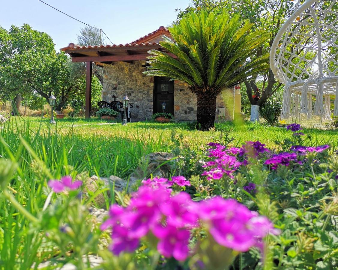 Patras Stonehouse With Large Yard - Πέτρινο Σπίτι Με Αυλή Villa Paralia  Bagian luar foto